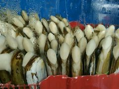 -蚝专家(北滘店)