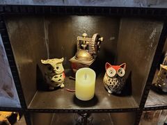 -雪灵魔法世界SHELLY’S TAROT(大良桂畔里店)