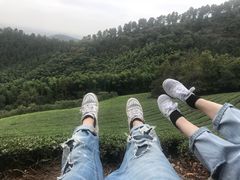 -敬亭山风景名胜区