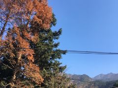 -罗田薄刀峰风景区