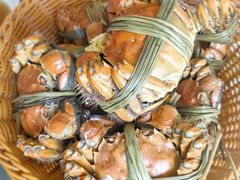 -蟹村草堂·苏式园林人文农家·大闸蟹