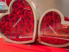 -ROSEONLY诺誓(国际广场购物中心店)