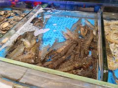 -加餐海鲜自助(宝龙一城店)