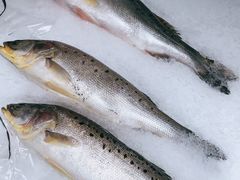 -沃尔玛购物广场(燕郊店)