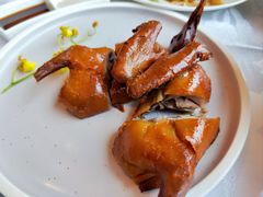 红烧乳鸽-锦江宾馆-花园餐厅