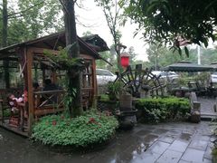 -青城甲(青城山店)