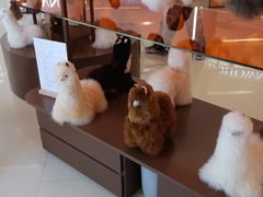 -道顺射箭·团建·骑射(张杨路店)