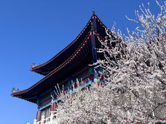 -玉佛苑