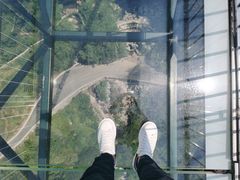 -梦幻奥陶纪景区