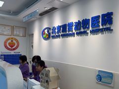 -北京观赏动物医院·24小时大型综合·猫专科·异宠专科