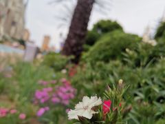 -蓬莱欧乐堡梦幻世界