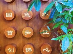 -食神鱼头佛跳墙(百子湾旗舰店)