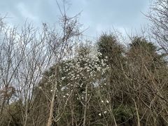 -南京金牛湖风景区