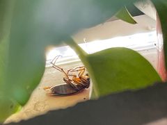 -贵州牛霸一方·苗侗酸汤鱼(白云三元里店)