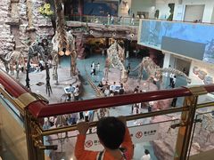 -安徽省地质博物馆