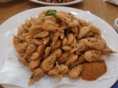 -小海丁