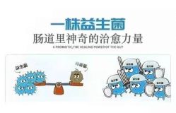 -安吉拉青春化管理中心
