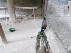 -罔极寺