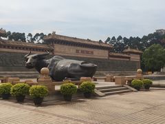 -广东圆玄道观