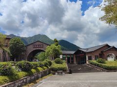 -千岛湖石林
