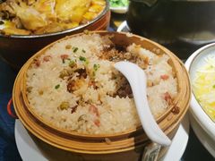 -金龙寨(龙城路店)