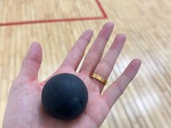 -全民健身中心壁球馆