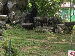 -南宁市动物园
