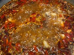 -销魂美蛙鱼头火锅(上海首店)