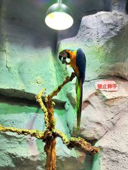 -Zoolung Zoolung动物主题公园(海信广场店)