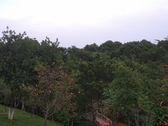 -聚龙山公园