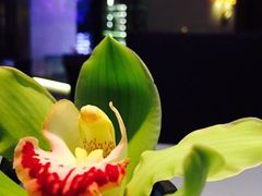 -AZUR聚(香格里拉饭店)