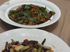 -广信传说