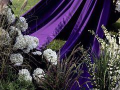 -广交会威斯汀酒店