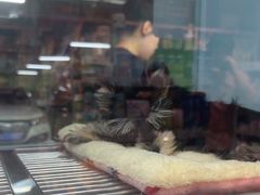 -FAELING PETS美天灵宠物(合生汇店)