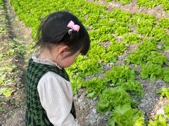 -菊园百果园
