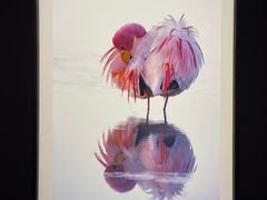 -罗红摄影艺术馆