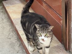 -大赤坎肥仔强烧味海鲜餐厅(大赤坎店)