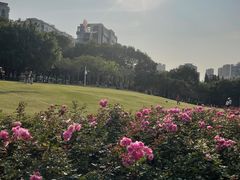 -深圳龙潭公园