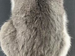 -comecome来吧宠物(奥克斯中心店)