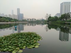 -后襄河公园