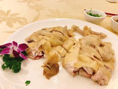 -御唐府海珊瑚主题餐厅
