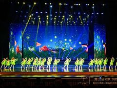 -红舞鞋舞蹈教育(近江校区)