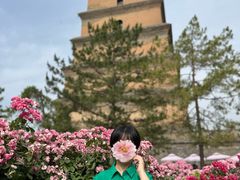 -大慈恩寺(大雁塔)