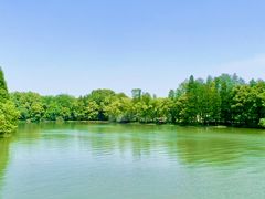 -东湖落雁景区