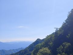-王顺山国家森林公园