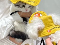 -瑞虹新天地月亮湾