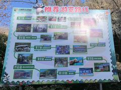 -栾川竹海野生动物园