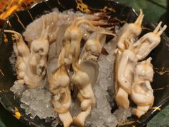 -牛New寿喜烧(金鹰世界店)