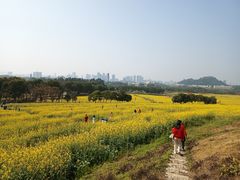 -光明小镇欢乐田园