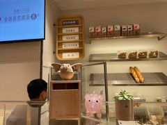 -WHEN PIGS FLY当猪飞